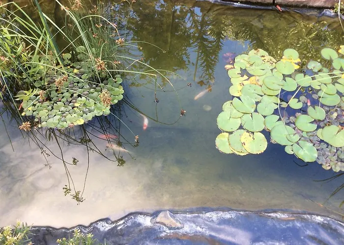 Kis Teniszhaz Διαμέρισμα Ordacsehi