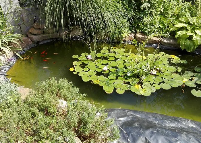 Διαμέρισμα Kis Teniszhaz *